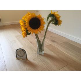 Kelston Mat Lacquer Finish Engineered Oak 12X100X1100-2000MM